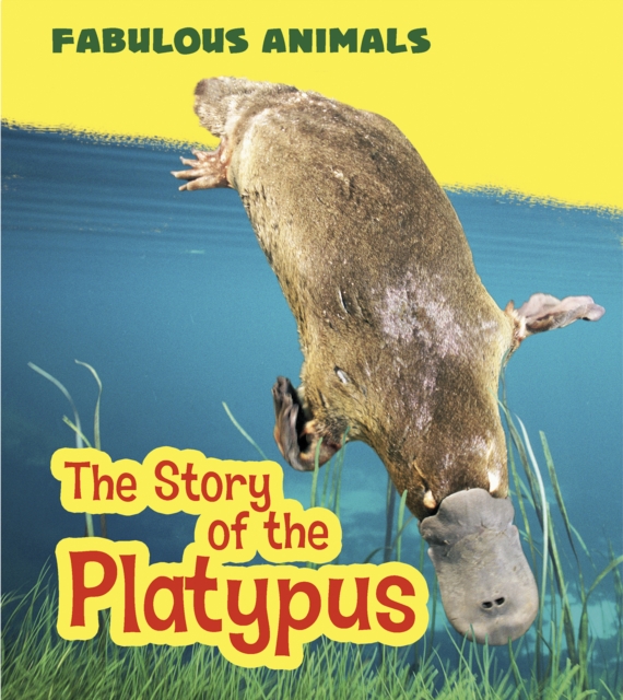 The Story of the Platypus, Hardback Book