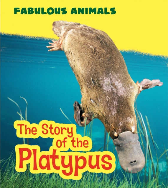 The Story of the Platypus, PDF eBook