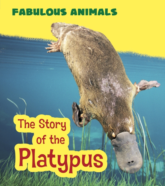 The Story of the Platypus, Paperback / softback Book