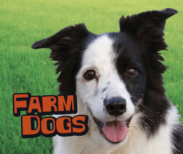 Farm Dogs, Hardback Book