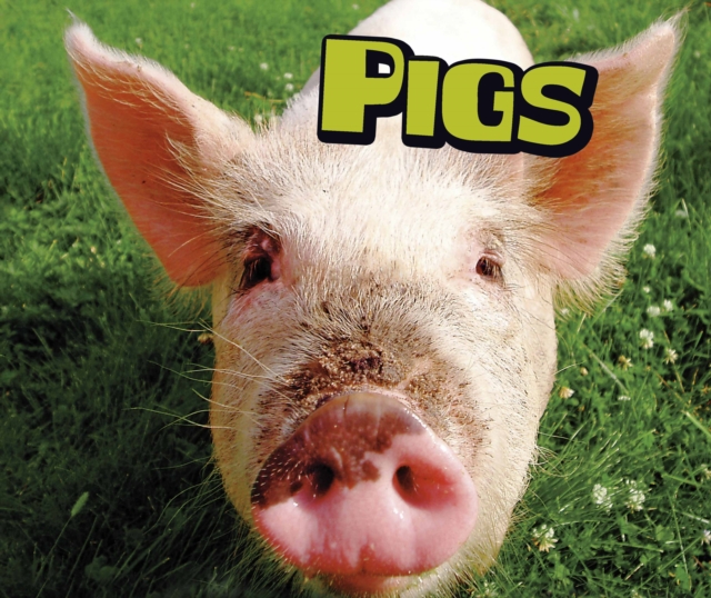 Pigs, PDF eBook