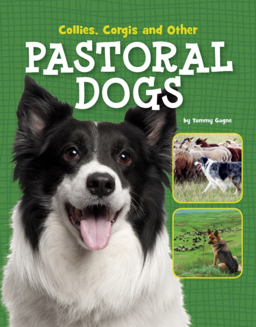 Collies, Corgis and Other Pastoral Dogs, Hardback Book