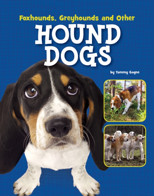 Foxhounds, Greyhounds and Other Hound Dogs, Hardback Book