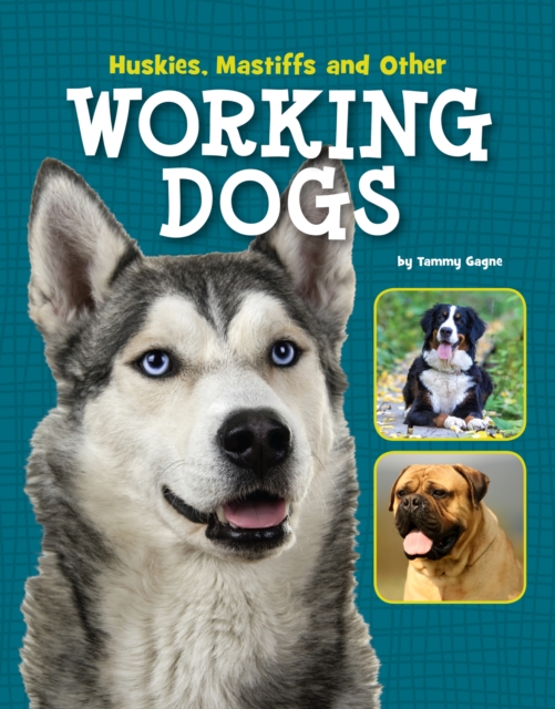 Huskies, Mastiffs and Other Working Dogs, Hardback Book