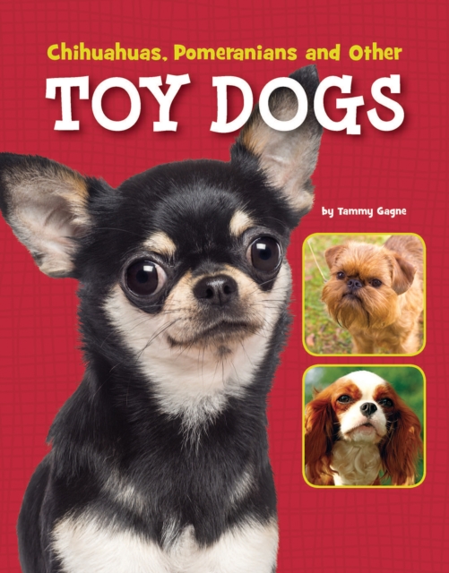 Chihuahuas, Pomeranians and Other Toy Dogs, Paperback / softback Book