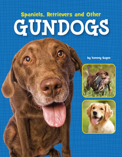 Spaniels, Retrievers and Other Gundogs, Paperback / softback Book