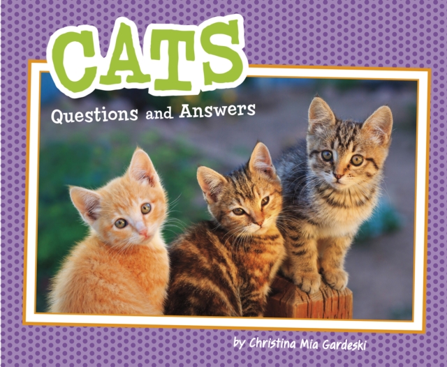 Cats : Questions and Answers, Paperback / softback Book