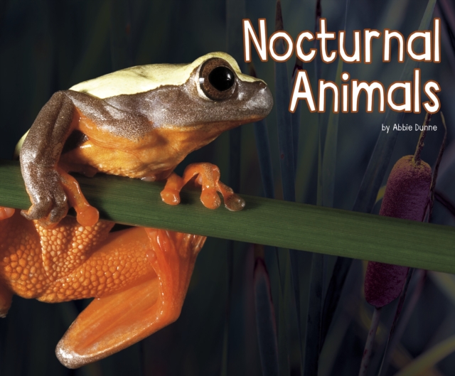 Nocturnal Animals, Hardback Book