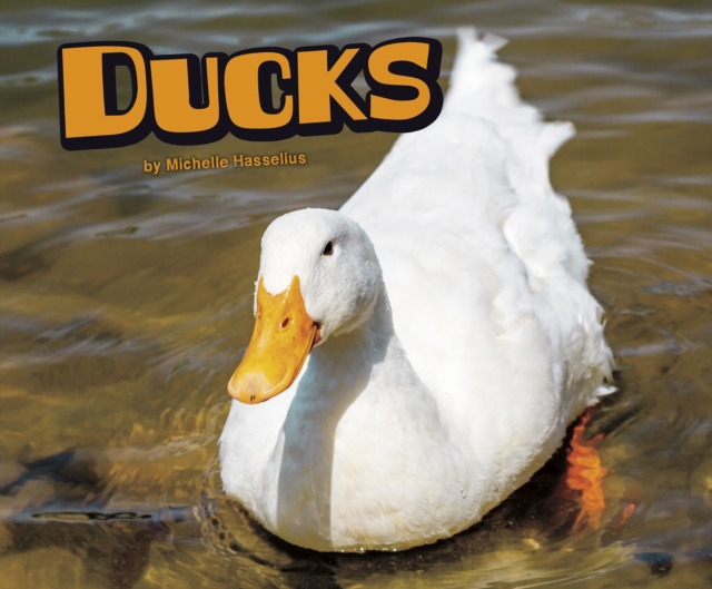 Ducks, Paperback / softback Book