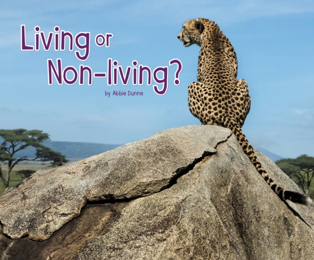 Living or Non-Living?, Paperback / softback Book