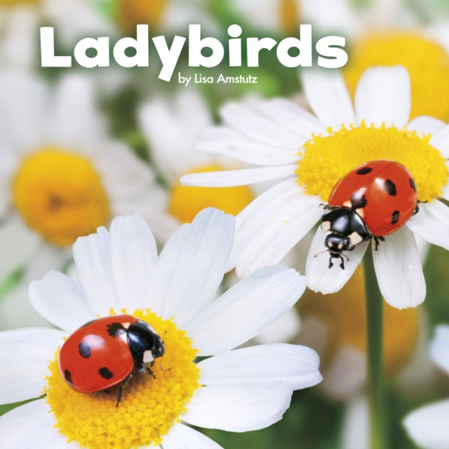 Ladybirds, Paperback / softback Book