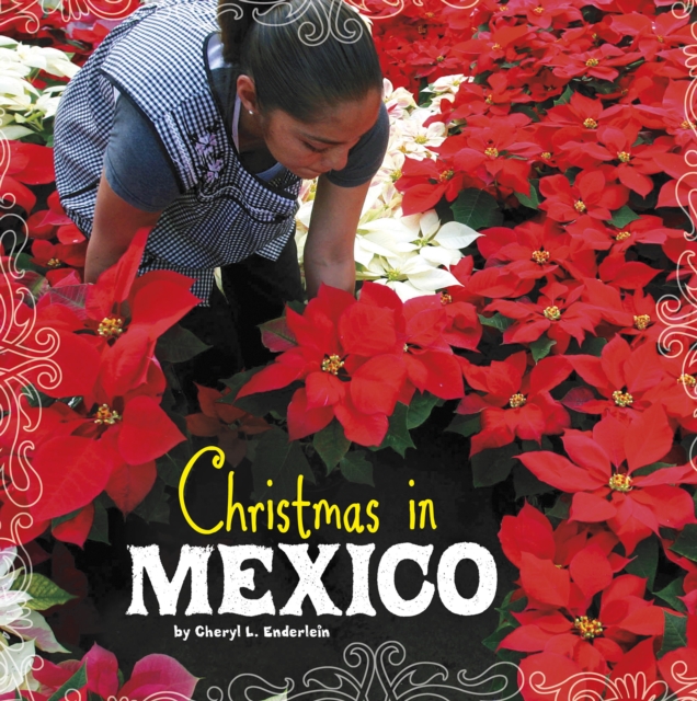 Christmas in Mexico, Hardback Book