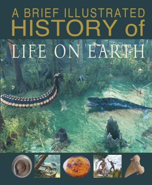A Brief Illustrated History of Life on Earth, Hardback Book
