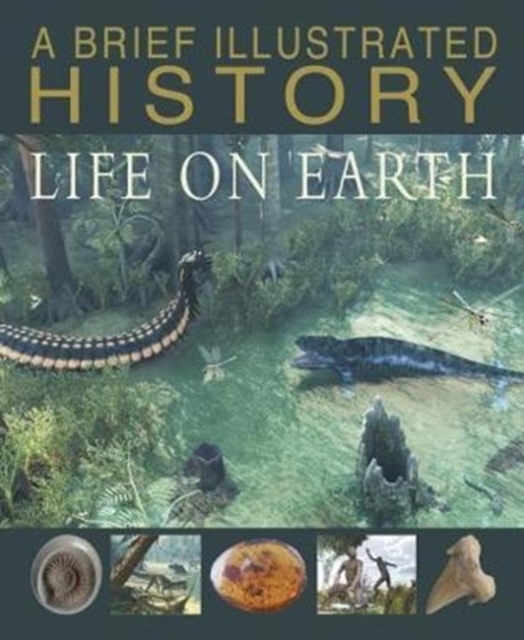 A Brief Illustrated History of Life on Earth, Paperback / softback Book