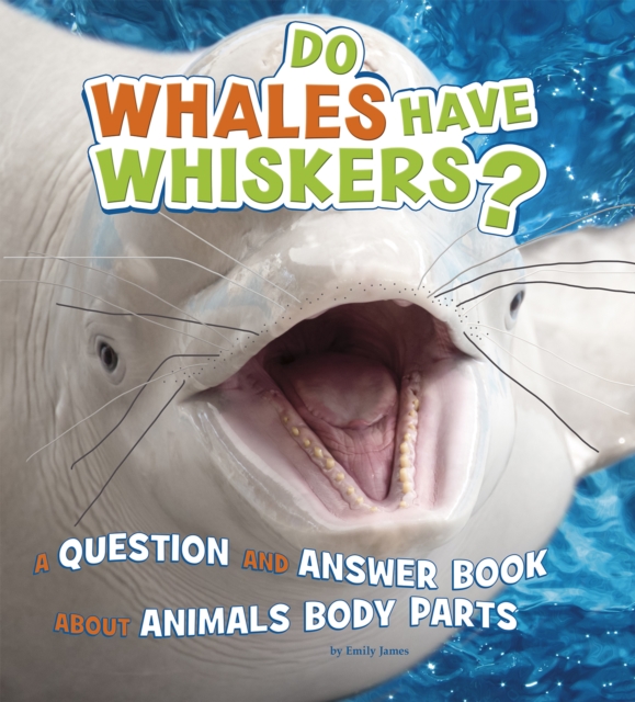 Do Whales Have Whiskers? : A Question and Answer Book about Animal Body Parts, Hardback Book