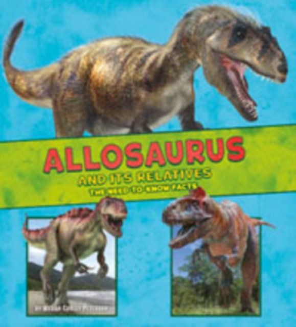 Dinosaur Fact Dig Pack B of 4, Mixed media product Book