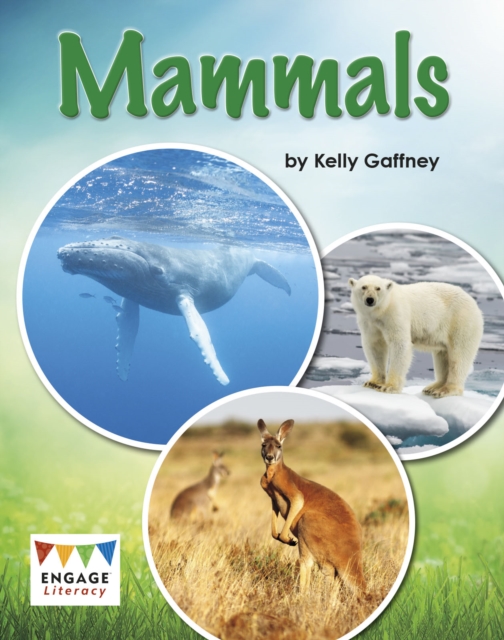 Mammals, Paperback / softback Book