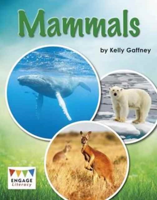 Mammals, Multiple copy pack Book