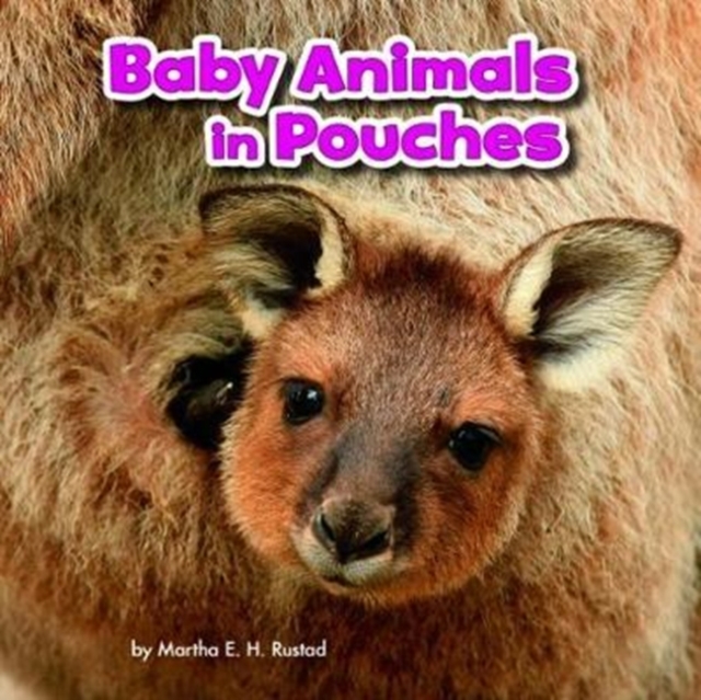 Baby Animals in Pouches, Paperback / softback Book