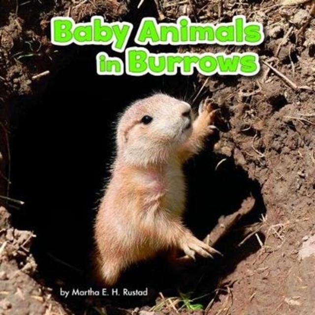 Baby Animals in Burrows, Paperback / softback Book