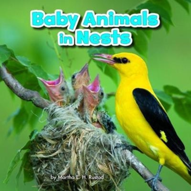 Baby Animals in Nests, Paperback / softback Book