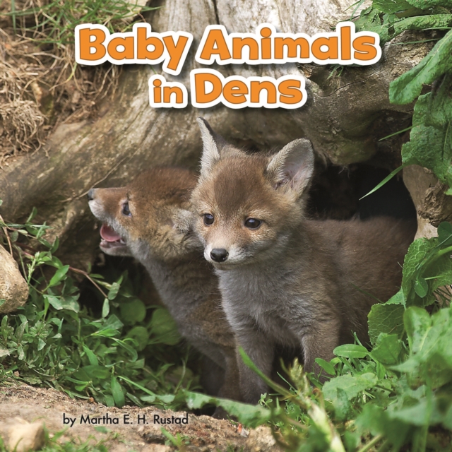 Baby Animals in Dens, PDF eBook