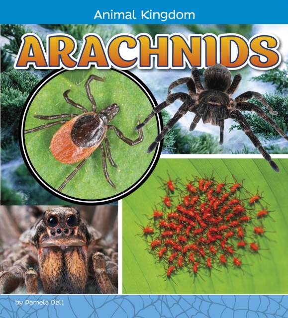 Arachnids, Hardback Book