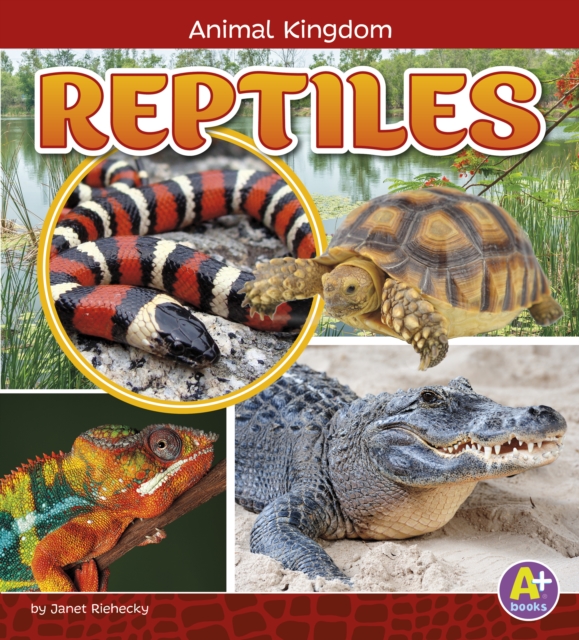 Reptiles, Paperback / softback Book
