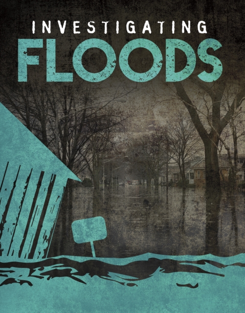 Investigating Floods, Hardback Book