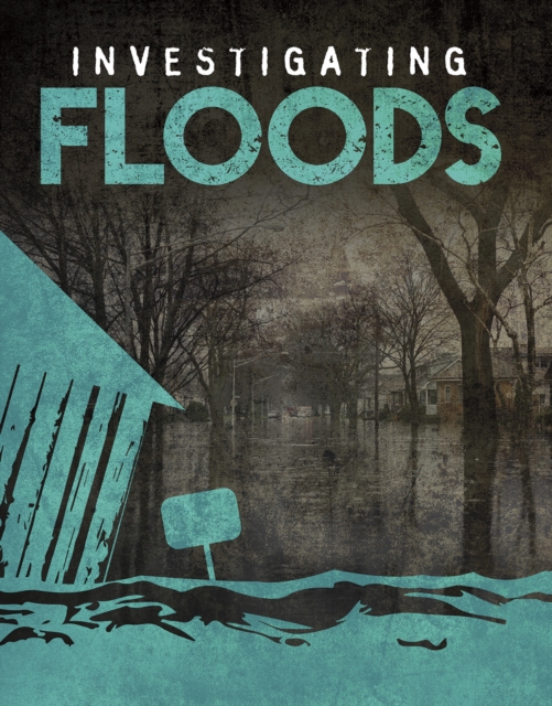 Investigating Floods, Paperback / softback Book