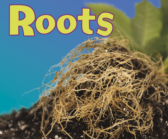 Roots, Hardback Book