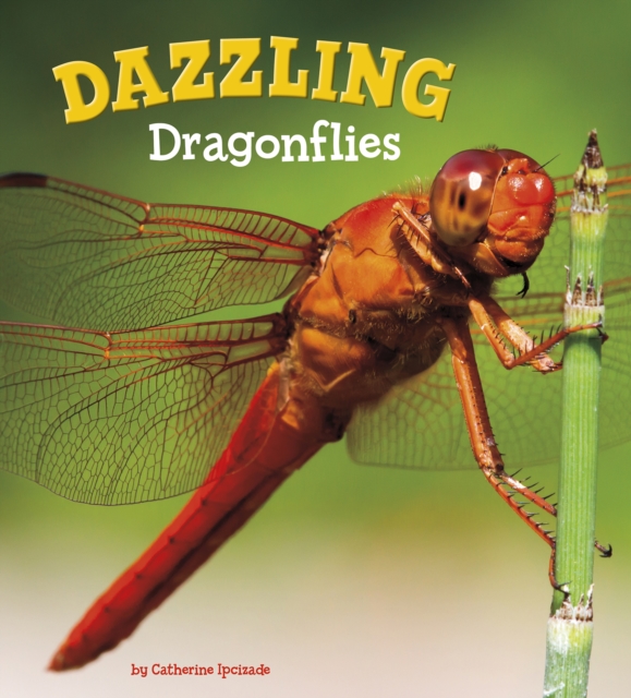 Dazzling Dragonflies, Hardback Book