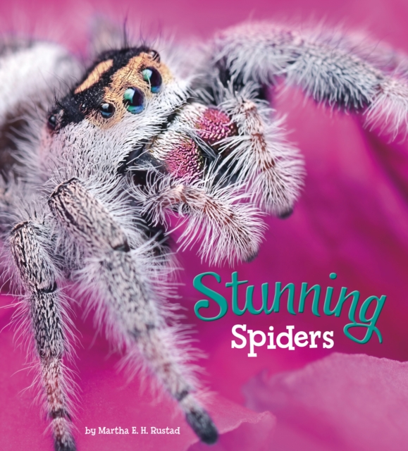 Stunning Spiders, Paperback / softback Book
