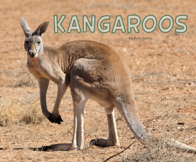 Kangaroos, Hardback Book