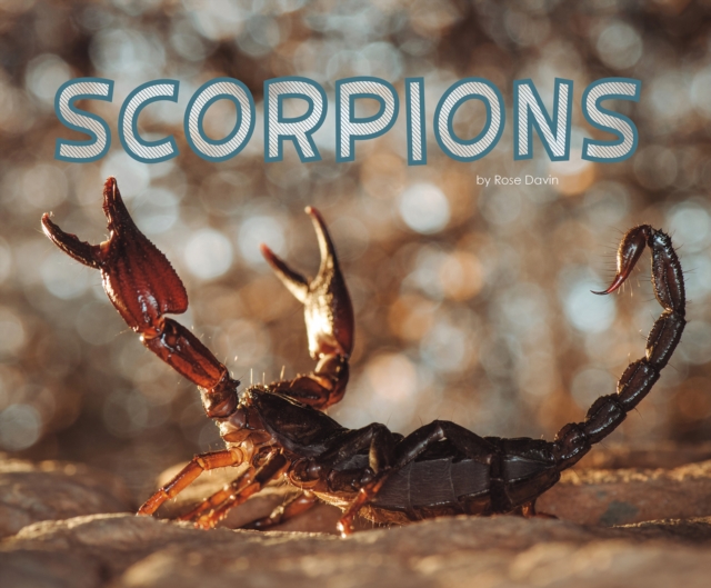 Scorpions, Paperback / softback Book