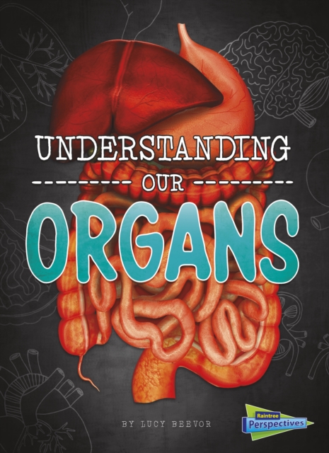 Understanding Our Organs, Paperback / softback Book