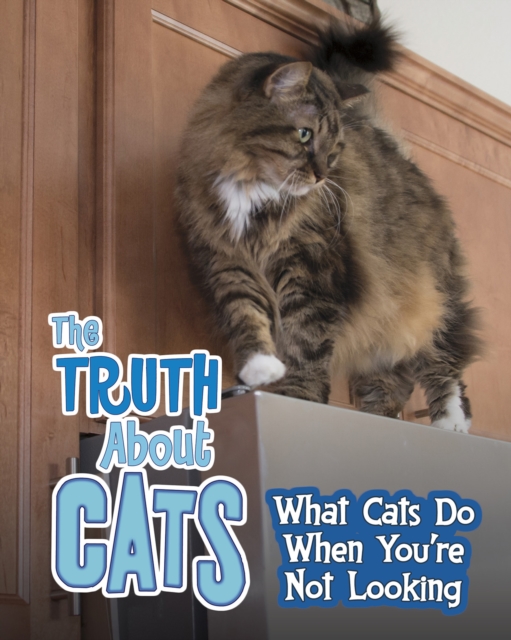 The Truth about Cats : What Cats Do When You're Not Looking, Paperback / softback Book