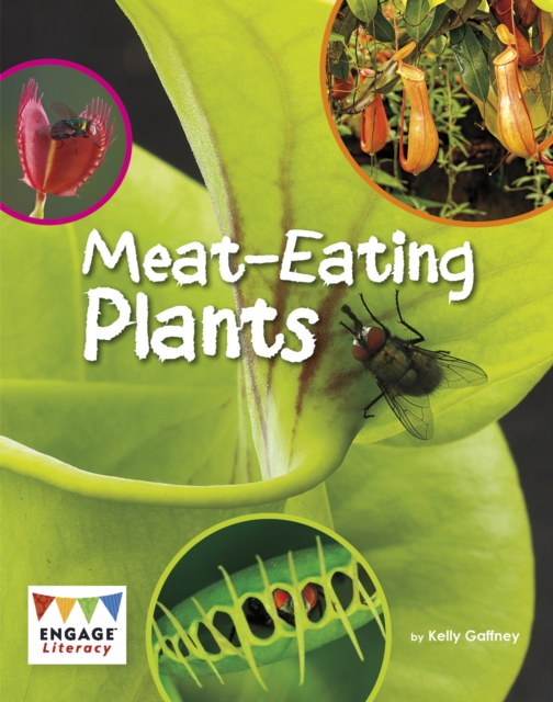 Meat-Eating Plants, Paperback / softback Book