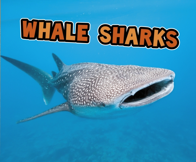 Whale Sharks, PDF eBook