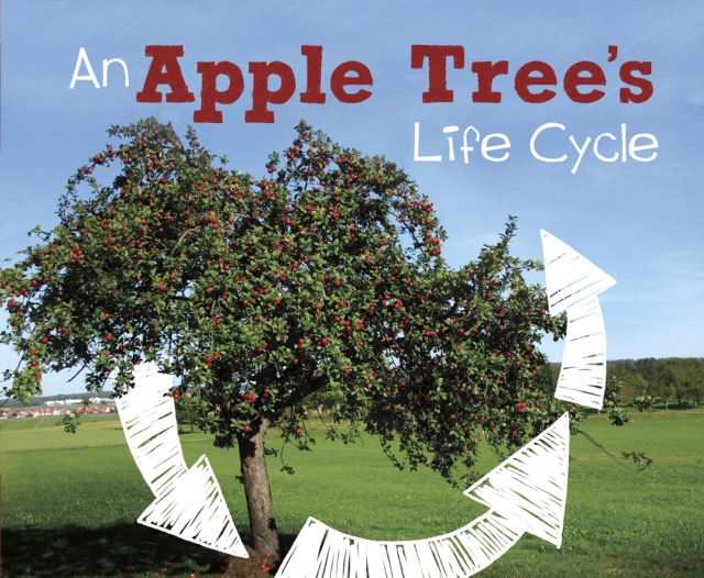 An Apple Tree's Life Cycle, Hardback Book