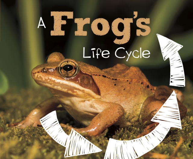 A Frog's Life Cycle, Paperback / softback Book