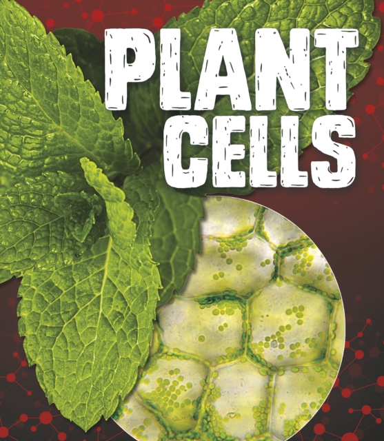 Plant Cells, Paperback Book
