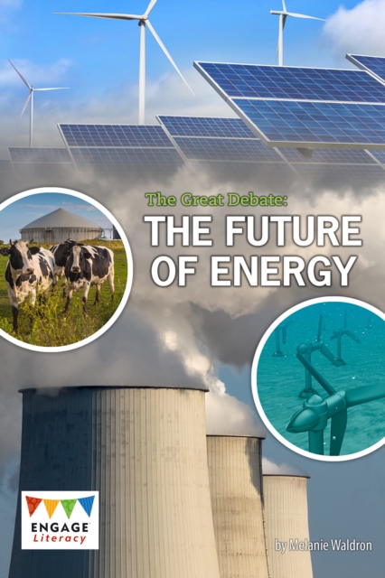 The Great Debate : The Future of Energy, Paperback / softback Book