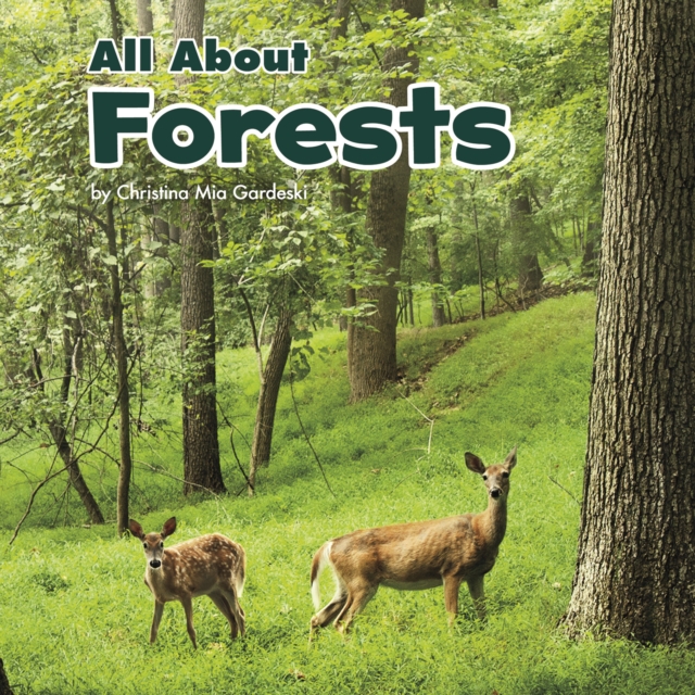 All About Forests, Paperback / softback Book
