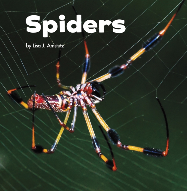 Spiders, Hardback Book