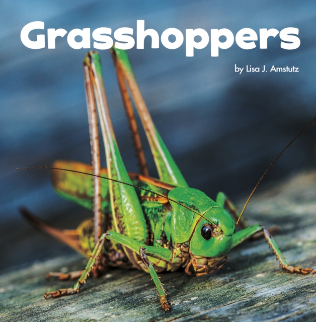 Grasshoppers, Paperback / softback Book
