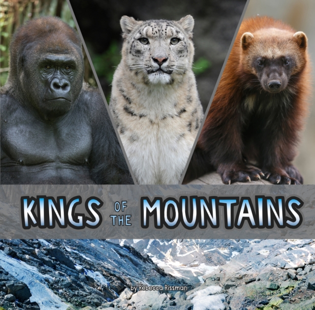 Kings of the Mountains, Hardback Book