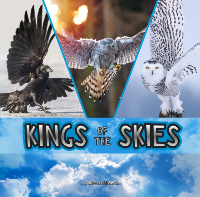 Kings of the Skies, Paperback / softback Book