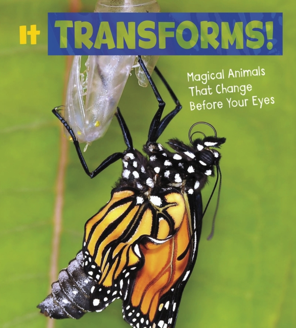 It Transforms! : Magical Animals That Change Before Your Eyes, Hardback Book