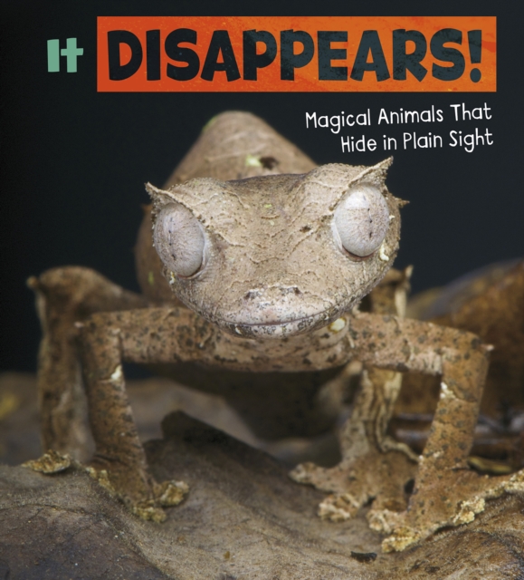 It Disappears! : Magical Animals That Hide in Plain Sight, Hardback Book